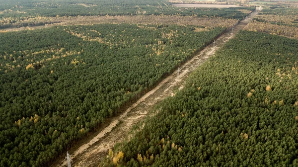 Linhas elétricas de alta tensão, registrando na vista superior da floresta de um drone — Fotografia de Stock