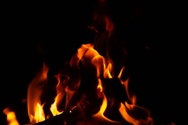 Yanan ateşin arka planı bulanıklaştırılmış — Stok fotoğraf