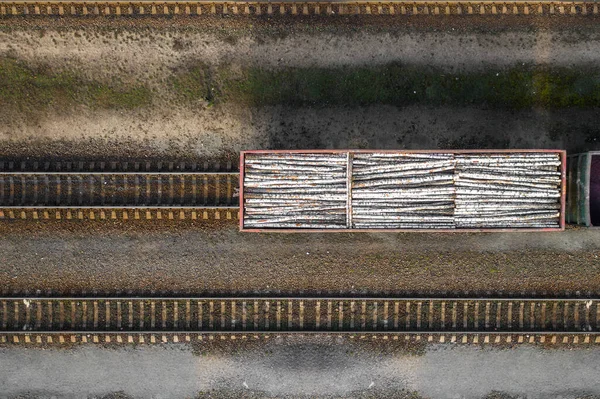 Järnvägsvagn Lastad Med Stockar Ovanifrån Från Från Drönare — Stockfoto