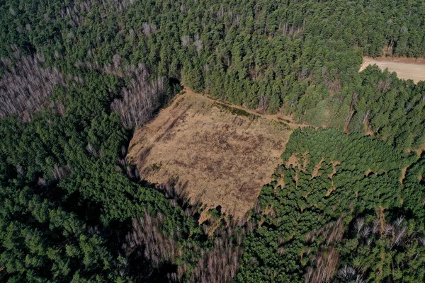 Deforestazione Vista Dall Alto Fotografia Aerea Drone — Foto Stock