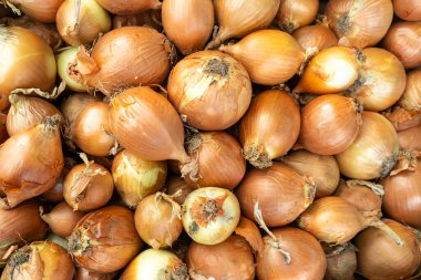 birçok folikül üst görünüm arkaplan