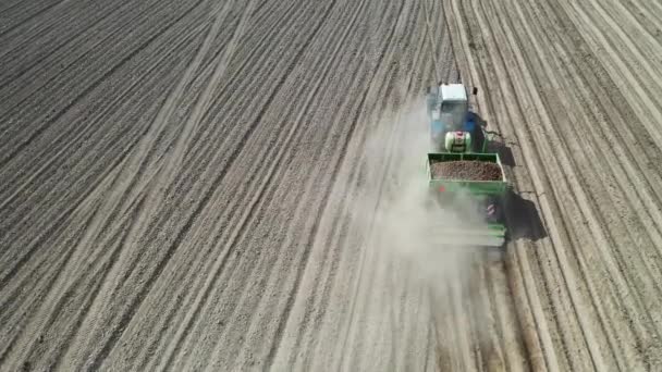 Grodno Belarus April 2020 Farmer Tractor Field Planting Potatoes Fertile — Stock Video