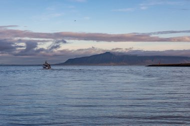 Reykjavik, İzlanda limanından ayrılan tekne.