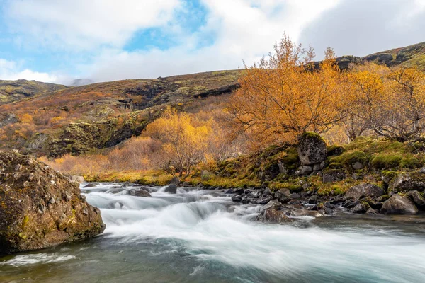 Kis vízesés és sárga őszi levelek, Izland — Stock Fotó