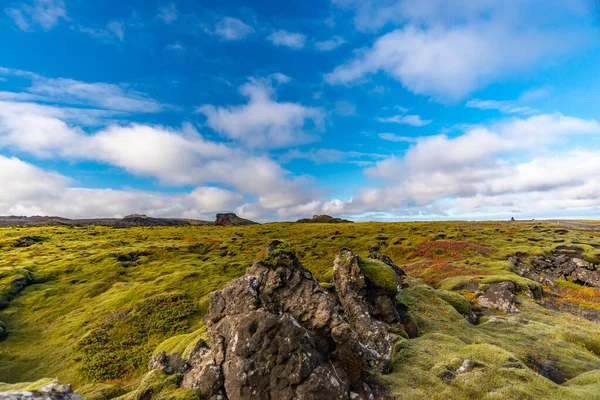 Paysage de mousse, Islande — Photo