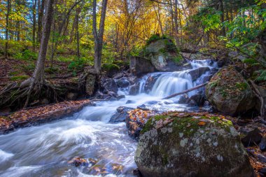 Sonbahar renkleriyle Laurentian ormanlarında şelale, Quebec