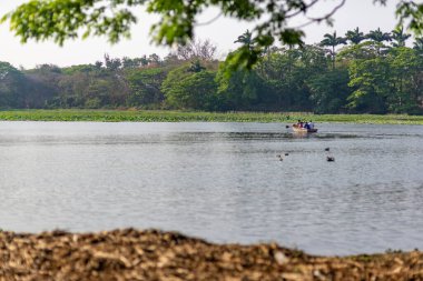 Tanınamayan dört kişilik bir grup öğleden sonra Hindistan 'ın Mysore kentinde, Karanji Gölü' nde tekne gezintisine çıkıyor.