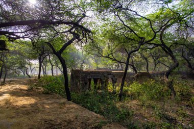 Mehrauli Arkeoloji Parkı 'ndaki eski binaları harabeye çevirdiler. Sabah Yeni Delhi, Hindistan' da hiç insan yoktu.
