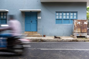 Pondicherry, Hindistan - 17 Mart 2018: Bilinmeyen bir adam hareket bulanıklığı ve uyuyan bir köpekle mavi bir apartman girişinden geçiyor