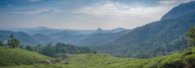 Chithirapuram 'ın panoramik manzarası. Munnar, Kerala, Hindistan yakınlarında güneşli bir bahar sabahı çekildi.