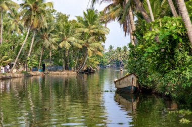 Alleppey, Kerala, Hindistan - 30 Mart 2018: Palmiye ağaçlı durgun kanal. Sabahleyin kameraya uzaktan yaklaşan küçük bir tekneyle çekildi..
