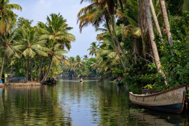 Alleppey, Kerala, Hindistan - 30 Mart 2018: Palmiye ağaçlı durgun kanal. Sabahleyin kameraya uzaktan yaklaşan küçük bir tekneyle çekildi..