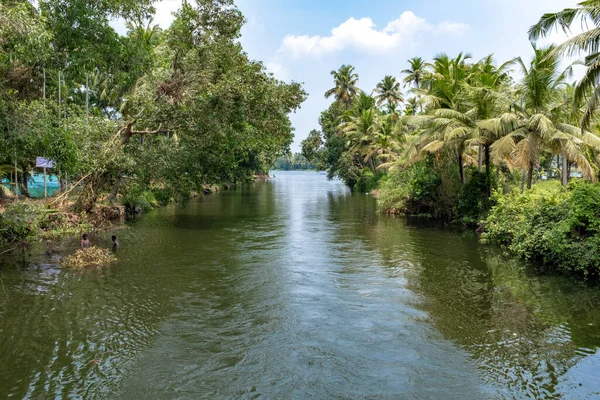Kerala India March 2018 Traveling Backwaters Canal Men Swimming Distance — Stock Photo, Image