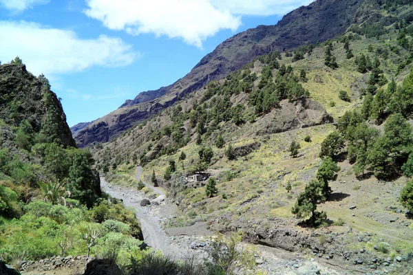 Güzel volkanik manzara Kanarya Adası La Palma üzerinde — Stok fotoğraf