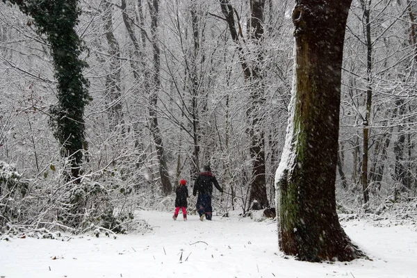 Portiamo Fuori Cane Veloce Durante Nevicata Abbondanti Nevicate Rendono Tutto — Foto Stock