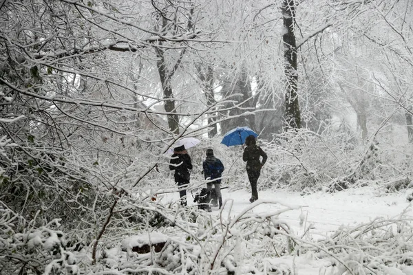 Esaurire Cane Con Tutta Famiglia Durante Inverno — Foto Stock