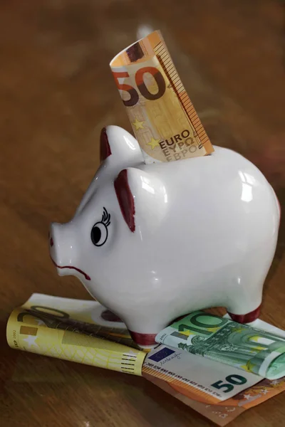 White Pig Money Box Paper Money — Stock Photo, Image