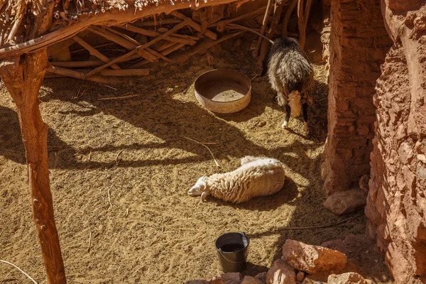 Cortile tradizionale a Fort Ait Ben Haddou — Foto Stock