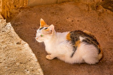 Hala eski Medine Ouarzazate, Fas yaşadığı