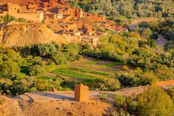 Oase in de vallei van Oued Dades, Marokko — Stockfoto