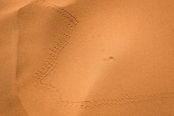 Sand texture Sahara Desert, Morocco — Stock Photo, Image