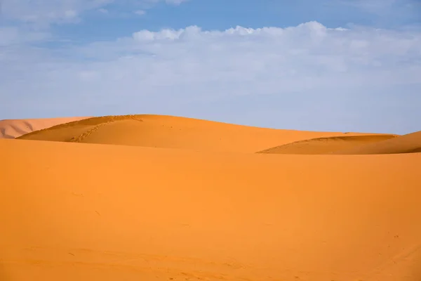 Zandduinen van de Saharawoestijn, Marokko — Stockfoto