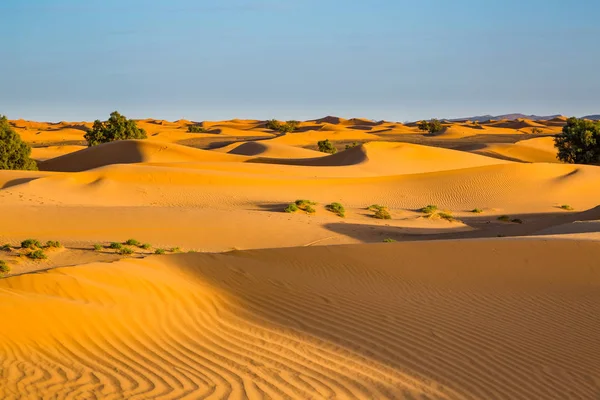 Sanddynerna i Saharaöknen, Marocko — Stockfoto