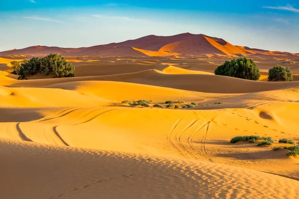 Sanddynerna i Saharaöknen, Marocko — Stockfoto