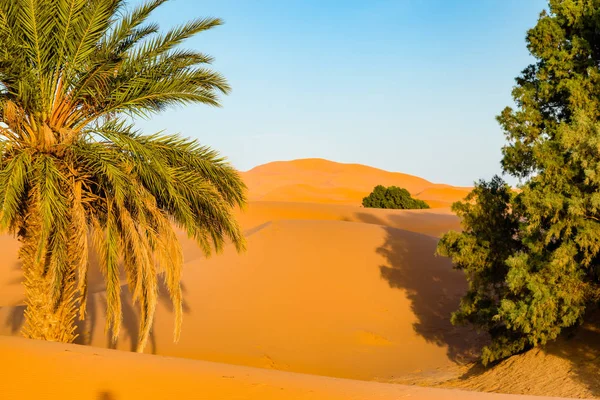 Sanddynerna i Saharaöknen, Marocko — Stockfoto