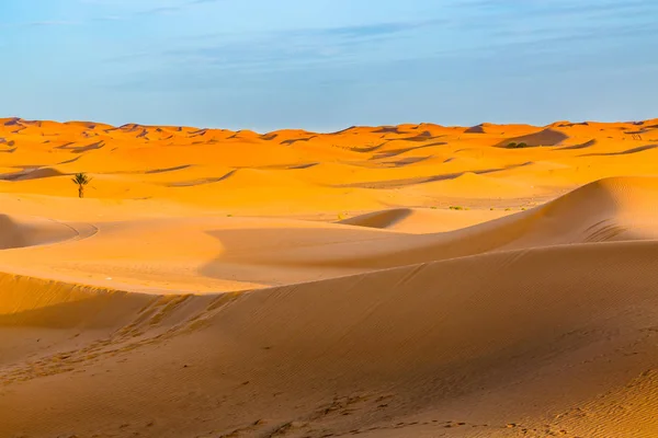 Sanddynerna i Saharaöknen, Marocko — Stockfoto