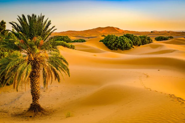 Sanddynerna i Saharaöknen, Marocko — Stockfoto