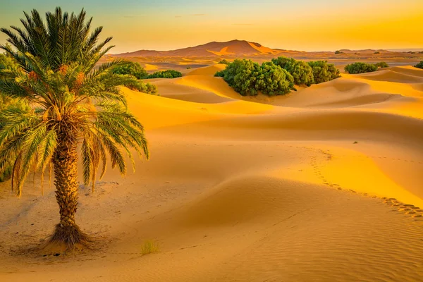 Kum tepeleri Morocco Sahara çöl