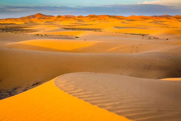 Sanddynerna i Saharaöknen, Marocko — Stockfoto