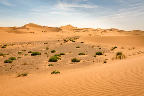 Sydvästra delen av Saharaöknen i Marocko — Stockfoto