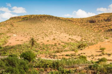 Güney Fas tipik peyzaj.