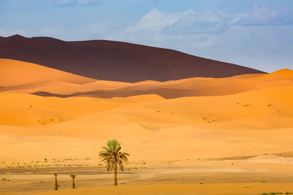 Partie sud-ouest du désert du Sahara au Maroc — Photo