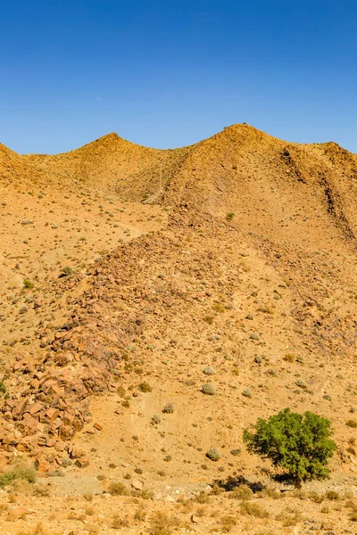 Typical landscape of southern Morocco. — Stock Photo, Image