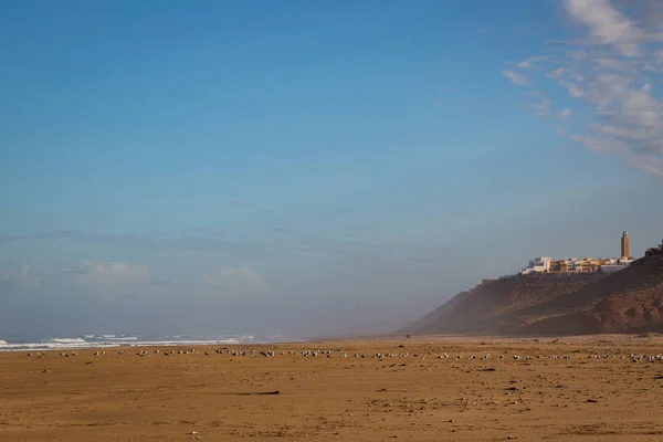 Vroeg in de ochtend na regen op strand van Sidi Ifni — Stockfoto