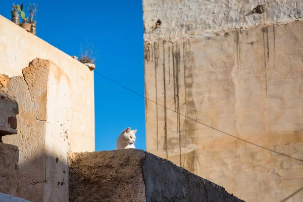 Vista da parte antiga de Sidi Ifni — Fotografia de Stock