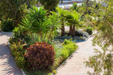 Park Sidi Ifni, Fas