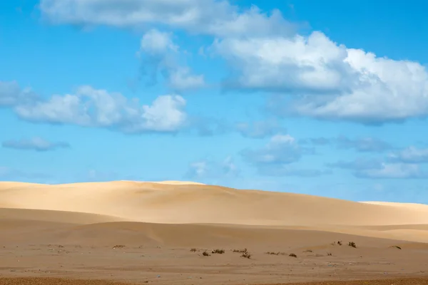 河 Chbika Plage，摩洛哥的沙丘 — 图库照片