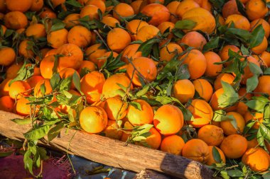 Medina Fes, Fas içinde belgili tanımlık çarşı