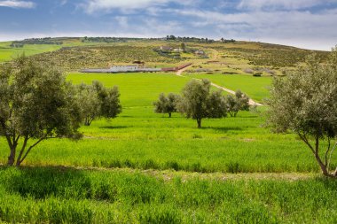 Fes, Fas etrafında bahar peyzaj