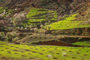 Fes, Fas etrafında bahar peyzaj