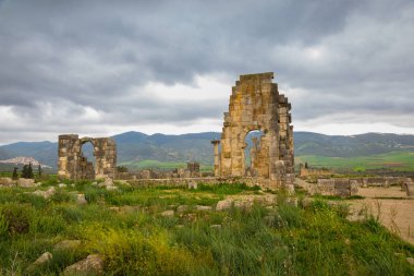 Archeologique de Volubilis, Fas Kazıları.