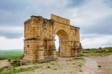 Archeologique de Volubilis, Fas Kazıları.