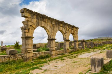 Archeologique de Volubilis, Fas Kazıları.