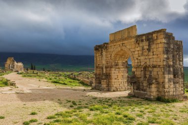 Archeologique de Volubilis, Fas Kazıları.