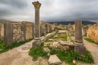 Archeologique de Volubilis, Fas Kazıları.