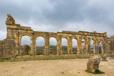 Archeologique de Volubilis, Fas Kazıları.